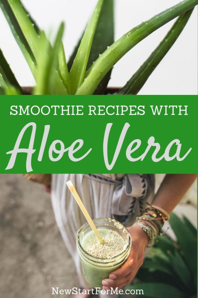 Smoothie Recipes With Aloe Vera Newstart For Me